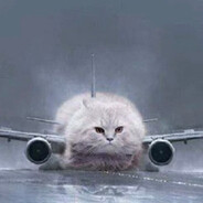BoeingCat787