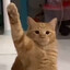 Kitler