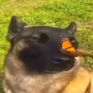 сабакин добрюкин