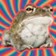 PsychoactiveToad