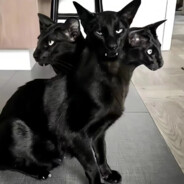 又装上了牢底./