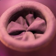 Balloon Knot - steam id 76561197960793704