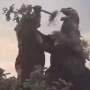 丁真属下理塘第一突破手中国特种兵-冷锋先生