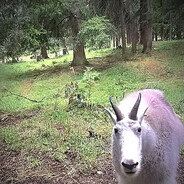 Кидаю Общую