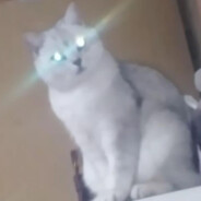 山东美少男小宫