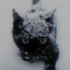 barry