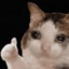 meowman22