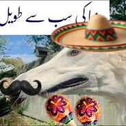 El Hugo Steam avatar