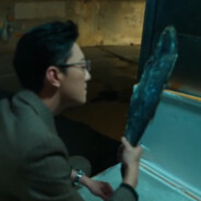 冻鱼战神高启盛