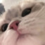 肯肯