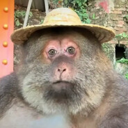 Xing Xing - steam id 76561198984315746