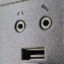 不会飞的鸸鹋