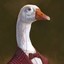 Sir Goose