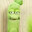 stringbean