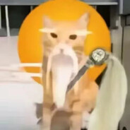 An砂糖橘