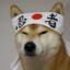 ♤NINJA_DOGE♤