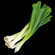 Spring Onions