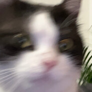 mekotcp