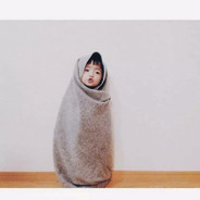 两年没玩的菜狗