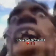 Fiszkyy avatar