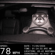 Flotter Otter