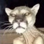 rel's avatar