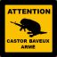 Le Castor Baveux