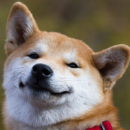 Comrade Victory Dog