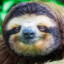 Ray Koma The Sloth #MintGang