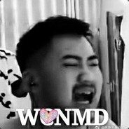 wdnmd白给少年