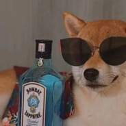 混元形意太极门马老师