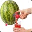 drinkingWatermelon