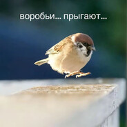 Воробзян 2.0