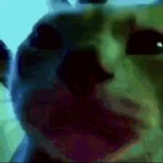 Phongus