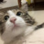 忧郁负二代