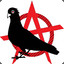 AnarchistPigeon