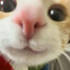 虫且