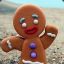 Gingerbread Man