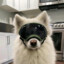 Tsuki