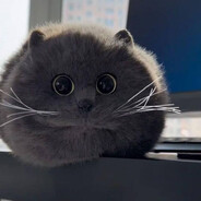 iwwngsense