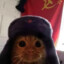 Comrade_Cat