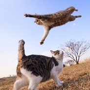 今天我要自己上厕所