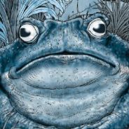 MarbleToad
