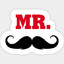 Mr Bigotes