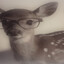 Fawnhart