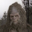 SasquatchTVs