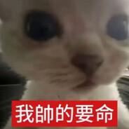 半夜调戏小美蛆