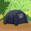 Suspiciously Tent Shaped Bear