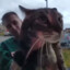 maow
