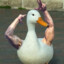 A Duck With No Arms